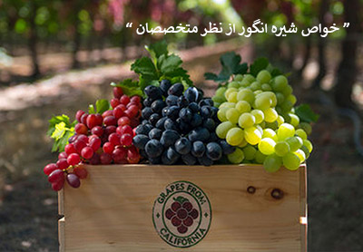 خواص شیره انگور از دیدگاه متخصصان
